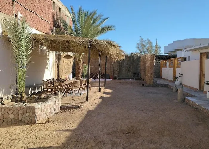 The Palm Circle - - 2